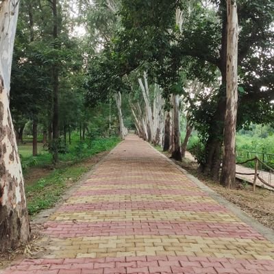 ManishY899's profile picture. A journey that just started 🚀