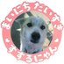 大手裏剣🍜🐱ズッ☆友 (@daishuriken) Twitter profile photo 大手裏剣🍜🐱ズッ☆友 (@daishuriken) Twitter profile photo