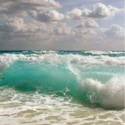 Luna71799534743's profile picture. 