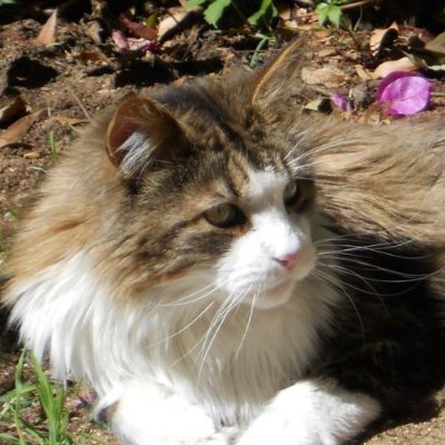 Upbeat2RU's profile picture. Love life, the earth and the universe. 
Democracy should not be sold to the highest bidders.
