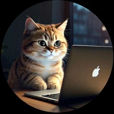 mukhtar_bukola's profile picture. SAF 🐈