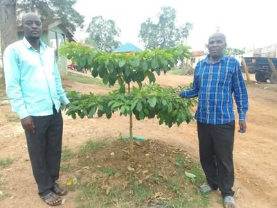 Working together to preserve the environment in Namayumba for a better climate change
