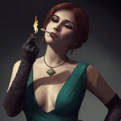 nomoredetaicsgo's profile picture. cs dog