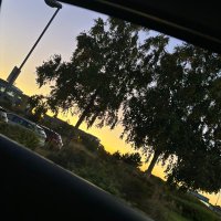 🫶🏼N💓 (@noorupdates) 's Twitter Profile