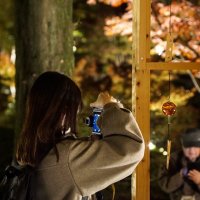 さゆ (@ma__nayuuu) Twitter profile photo