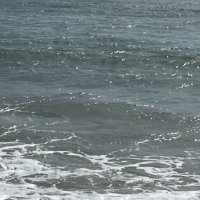 ᴺᴱᵀᴸᴱᴱ (@ilqfa_) 's Twitter Profile Photo ᴺᴱᵀᴸᴱᴱ (@ilqfa_) 's Twitter Profile Photo
