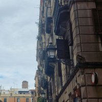 Luigi Mangione (@spotifyfcb_cat) 's Twitter Profile