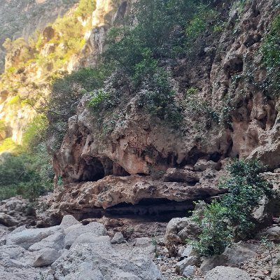 MohssinTak97705's profile picture. Ethereum enthusiast and NFT collector. Investing in rare digital collectibles and uncovering new finds.