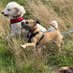 Bracken_the_BT (@bracken_the_bt) Twitter profile photo Bracken_the_BT (@bracken_the_bt) Twitter profile photo