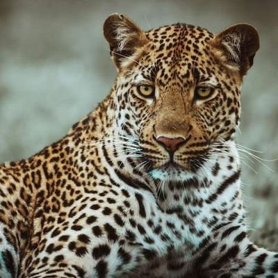 eric_ondari's profile picture. WANTAM na Dr. Fred Okeng'o Matiang'i
Dr. Babu Ongili Owino
Omwami Edwin Sifuna
Jaber Maverick Aoko 
This JOURNEY NEEDS NUMBERS.