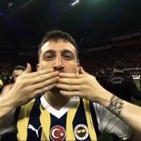 Mito (@vmitoftw) 's Twitter Profile