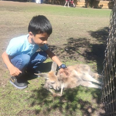 Sumeetsinghdua's profile picture. 