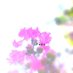 𝐹𝑎𝑚𝑢.⁎。 ҉ (@cons_farm) Twitter profile photo 𝐹𝑎𝑚𝑢.⁎。 ҉ (@cons_farm) Twitter profile photo