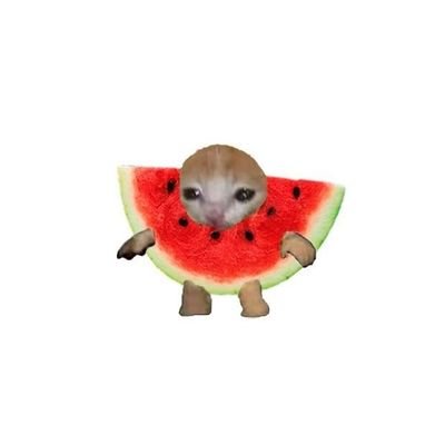 semangkabloom's profile picture. 