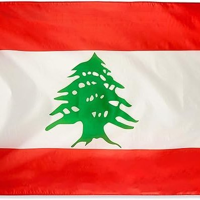 suzannekar's profile picture. Lebanese. views are my own.
managing director @envirodefence