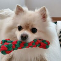 뽀야 (@jeyoung_91) 's Twitter Profile