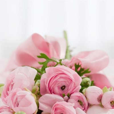 kanoko1668's profile picture. お金に愛される秘訣や副業情報など共有したりしています。私自身お金に苦労したので生活に苦しんでいる人を助けたいと思い、多少ですがお金配り企画を実施中。 詳細はこちらから⇒ https://t.co/7G09u5asA0