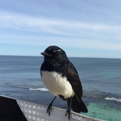 lisaintourism's profile picture. 