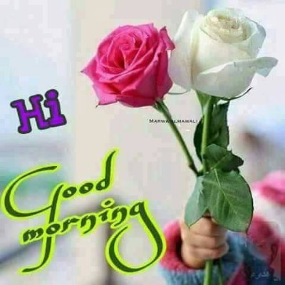 droseros_jo's profile picture. 