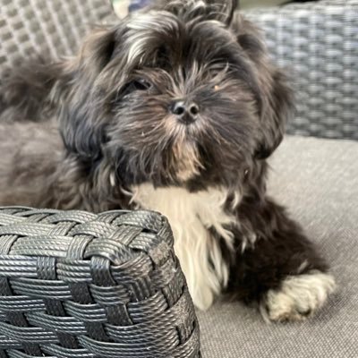 GMW007's profile picture. 