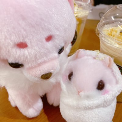 桜ましゅまろさんのプロフィール画像
