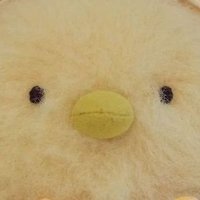 κ½κΈ° (@xh_xh_6) 's Twitter Profile Photo κ½κΈ° (@xh_xh_6) 's Twitter Profile Photo