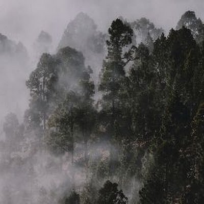 Caveman199135's profile picture. A guy who likes too Post things I find funny. If something offends you, I don't care so move on.