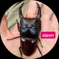 aipon (@aipon0805) 's Twitter Profile