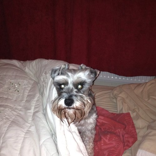 eddybutler1970's profile picture. 