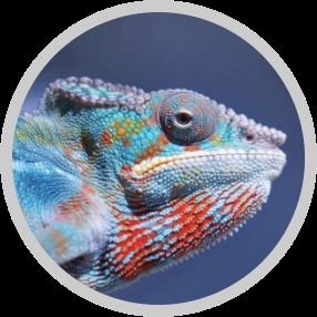 BuneiNickron's profile picture. ICT Specialist | eLearning Strategist | Cybersecurity enthusiast | Inclusive Tech for SRHR & Disability Rights |#Accessibility #DigitalInclusion #CyberSecurity