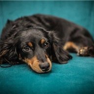 Yuriko185669711's profile picture. 副業で収入を増やすコツを共有中。副業初心者にお得な情報を発信。小規模ですがお金配り企画も実施しております★ 詳細はこちらから⇒ https://t.co/8UgXcAGTVG