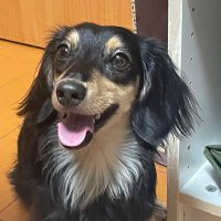 よる (@yoru_game__) 's Twitter Profile