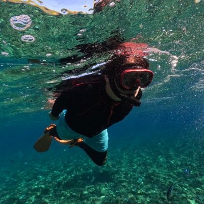 Software developer and founder from Austria 🌱
also find me at https://t.co/9Q1822QlPx