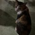a (@a5758891747064) Twitter profile photo a (@a5758891747064) Twitter profile photo