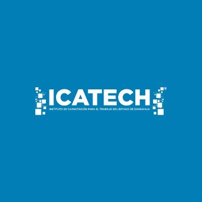 Impartir e impulsar la capacitación para el trabajo en la entidad, preparando mano de obra calificada, asegurando la calidad de la enseñanza.
