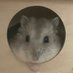 ๊ณต์ฃผ๋ค๐น (@na2g0ngju) Twitter profile photo ๊ณต์ฃผ๋ค๐น (@na2g0ngju) Twitter profile photo
