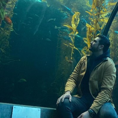 VCastanhai39412's profile picture. 🌱 Victor | PT
👔 Green-Tex Corp.
💻 Master's in IT | Sustainable technologies
✈️ Adventurous Traveler | Nature lover
📚Always learning and exploring