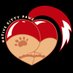NativeKittyPaws (@nativekittypaws) Twitter profile photo NativeKittyPaws (@nativekittypaws) Twitter profile photo