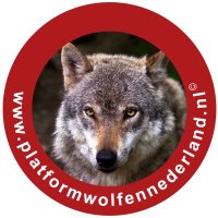 Platform Wolf en Nederland (@platformwen) 's Twitter Profile