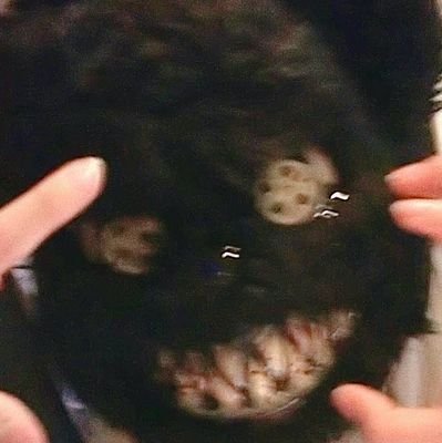 orimaroさんのプロフィール画像
