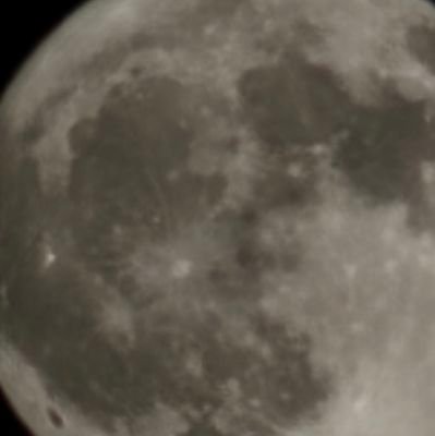 ufukcaner's profile picture. 🇹🇷