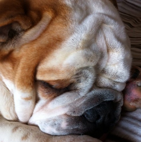 OviErika's profile picture. 