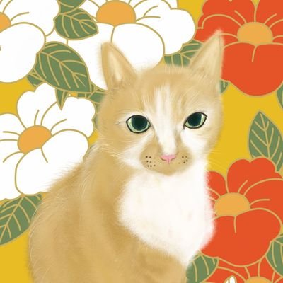 Saku2705346's profile picture. 鹿児島県薩摩半島出身です🐈🐾今は埼玉暮らし😢猫好き😘今は1人暮らしで飼えない😞レポなどフォロワーさんとやり取り大歓迎✨️どうぞよろしくお願いします┏○ﾍﾟｺ🐾😍😍ฅฅฅ