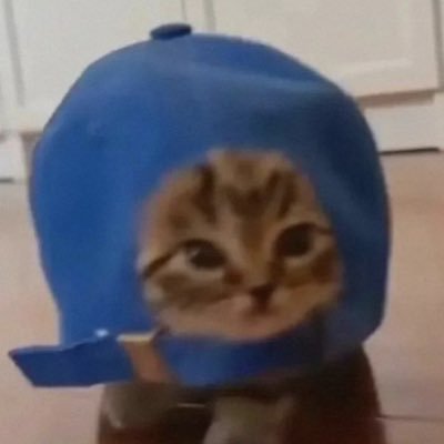 2Rpy1's profile picture. 普通に、の「うに」の部分ꧦ𐅁𐀸𐋠𛰙᭜𖫴𖫰𖫱𖫳𖫲𖫲𖫳𖫴𖫰𖫱꛰ﯩᩝ︪᭜𖫴𖫰𖫱𖫳𖫲𖫲𖫳𖫴𖫰𖫱꛰ީᩝ𛰚 ❤︎@uxumn_