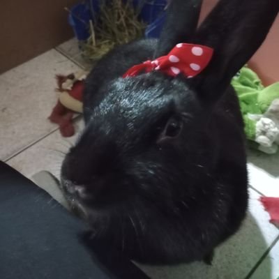 Tamz699's profile picture. 