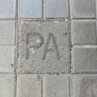 Pau Arenós Profile