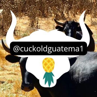 Temas, conversaciones y experiencias de cuckold-candaulismo-cuernos, swinging y relacionados.