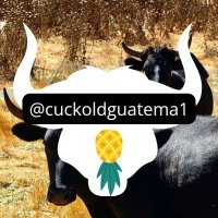 Cornudos de Guatemala (@cuckoldguatema1) 's Twitter Profile