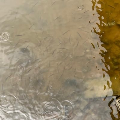 wygsnm's profile picture. 