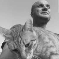 SimchaK©שמחהקופל (@ovedaleichem) 's Twitter Profile